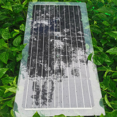 30W 40W 50W 60W 80W Solar Panel PET Semi Transparent Solar Panel 1000V